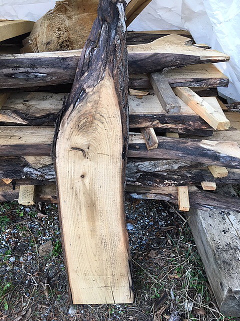 image of an unfinished butternut slab for sale