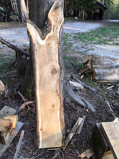 image of an unfinished cedar slab for sale